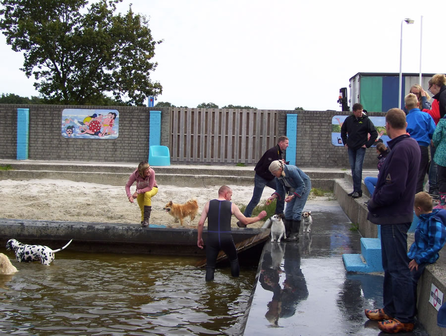 Zwembad Hemrik - Hondenzwemmen 23 sep 2012