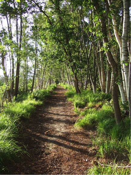 Historisch Wandelpad It Berchebos